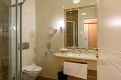 Peter I: Room DOUBLE STANDARD - photo 31