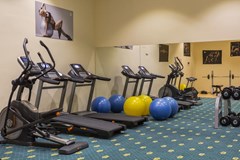 Prince Park Hotel: Sports and Entertainment - photo 1