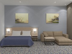 Prince Park Hotel: Room STUDIO STANDARD - photo 46