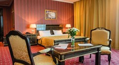 SK Royal Hotel Moscow: Room DOUBLE SINGLE USE COMFORT - photo 28