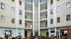 Tatiana: Lobby - photo 19