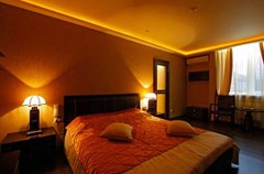 Alex Hotel on Budapeshtskaya: Room - photo 10