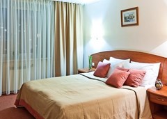 Art-Hotel Karelia: Room JUNIOR SUITE STANDARD - photo 26
