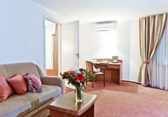 Art-Hotel Karelia: Room JUNIOR SUITE STANDARD - photo 35