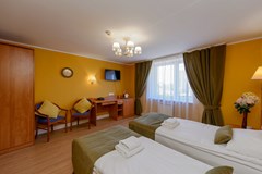 Art-Hotel Karelia: Room - photo 100