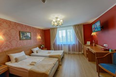Art-Hotel Karelia: Room - photo 111