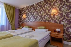 Art-Hotel Karelia: Room - photo 113