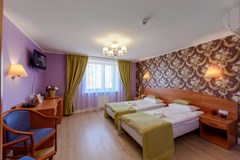 Art-Hotel Karelia: Room - photo 124