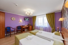 Art-Hotel Karelia: Room - photo 39