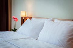 Best Western Plus Centre Hotel: Room DOUBLE DELUXE - photo 18