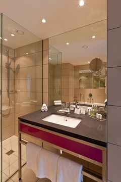 Crowne Plaza St. Petersburg Airport: Room DOUBLE CLUB - photo 27