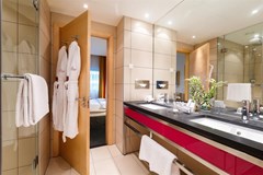 Crowne Plaza St. Petersburg Airport: Room - photo 17