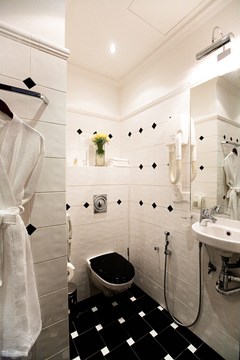 Golden Triangle Hotel: Room SINGLE STANDARD - photo 43