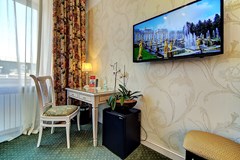 Golden Triangle Hotel: Room SINGLE STANDARD - photo 45