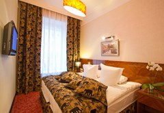Golden Triangle Hotel: Room DOUBLE SINGLE USE STANDARD - photo 49