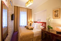 Golden Triangle Hotel: Room DOUBLE SINGLE USE STANDARD - photo 54