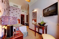 Golden Triangle Hotel: Room SINGLE STANDARD - photo 61