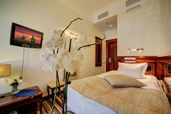 Golden Triangle Hotel: Room SINGLE STANDARD - photo 67
