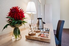 Nevsky Grand Energy: Room DOUBLE SINGLE USE SUPERIOR - photo 70