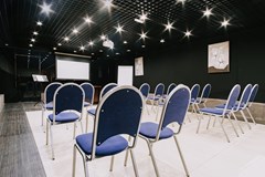 Nevsky Hotel Aster: Conferences - photo 18