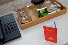 Nevsky Hotel Aster: Room DOUBLE SINGLE USE SUPERIOR - photo 39