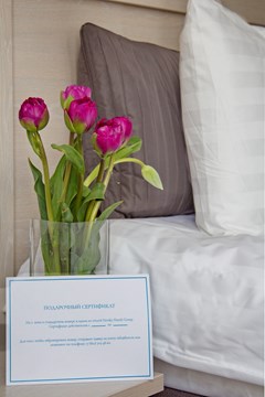Nevsky Hotel Aster: Room DOUBLE SUPERIOR - photo 51