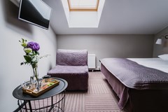 Nevsky Hotel Aster: Room DOUBLE SUPERIOR - photo 78