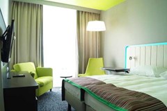 Park Inn Radisson Pulkovo Airport St.Petersburg: Room - photo 16