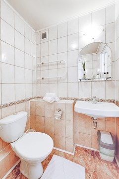 Premier hotel Polustrovo: Room - photo 65