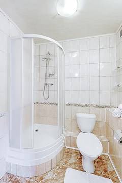 Premier hotel Polustrovo: Room TRIPLE STANDARD - photo 86