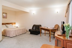 Premier hotel Polustrovo: Room JUNIOR SUITE STANDARD - photo 93