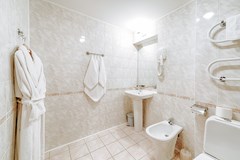 Premier hotel Polustrovo: Room SUITE STANDARD - photo 99