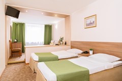 Premier hotel Polustrovo: Room FAMILY ROOM STANDARD - photo 102