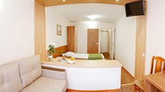 Premier hotel Polustrovo: Room FAMILY ROOM STANDARD - photo 103