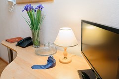 Premier hotel Polustrovo: Room SINGLE STANDARD - photo 111