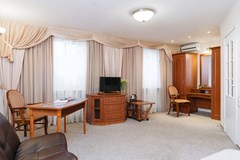 Premier hotel Polustrovo: Room JUNIOR SUITE STANDARD - photo 113