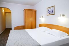 Premier hotel Polustrovo: Room DOUBLE STANDARD - photo 115