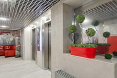 Red Stars Hotel: Lobby - photo 6