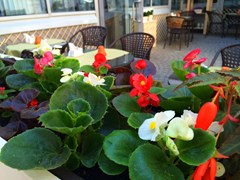 Red Stars Hotel: Terrace - photo 46