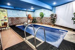 Russ: Pool - photo 7