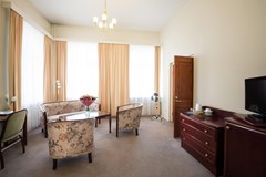 Spbvergaz: Room SUITE STANDARD - photo 32