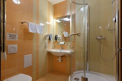 Statskij Sovetnik: Room DOUBLE SINGLE USE STANDARD - photo 18