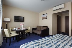 Statskij Sovetnik: Room FAMILY ROOM CAPACITY 1 - photo 30
