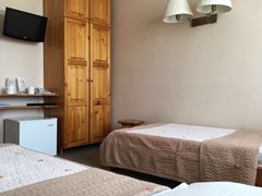 OstrovokV: Room DOUBLE STANDARD - photo 29
