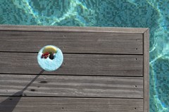 Savoy Resort & Spa Seychelles - photo 7