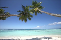 Hilton Seychelles Labriz Resort & Spa - photo 11