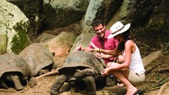 Four Seasons Resort Seychelles - photo 11