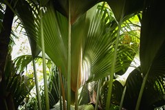 Raffles Seychelles - photo 40