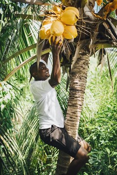 Raffles Seychelles - photo 86