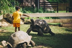 Raffles Seychelles - photo 113